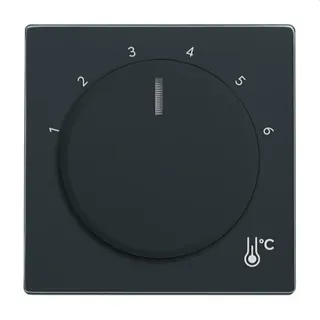 Busch-Jaeger Zentralscheibe 1794 R-81 Temperatur rund