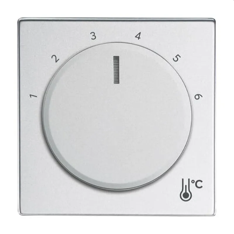 Busch-Jaeger Zentralscheibe 1794 R-83 Temperatur rund