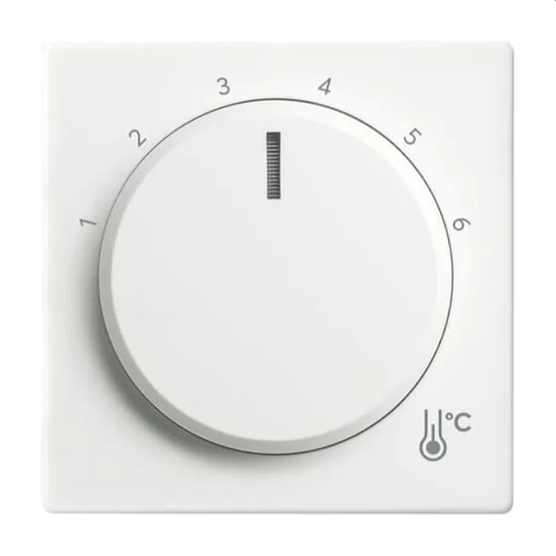 Busch-Jaeger Zentralscheibe 1794 R-84 Temperatur rund