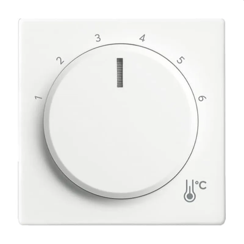 Busch-Jaeger Zentralscheibe 1794 R-884 Temperatur rund