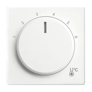 Busch-Jaeger Zentralscheibe 1794 R-884 Temperatur rund