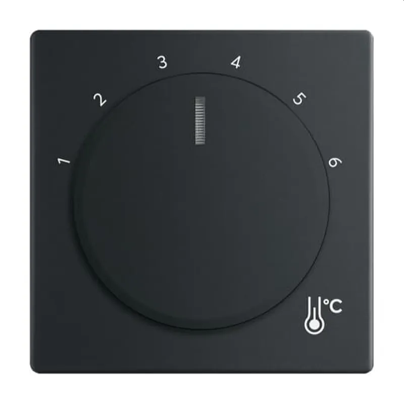 Busch-Jaeger Zentralscheibe 1794 R-885 Temperatur rund