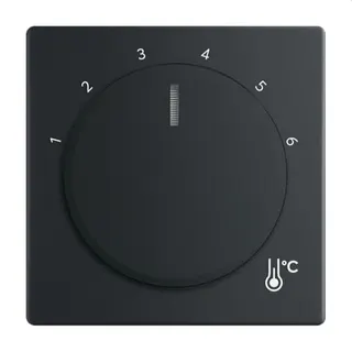 Busch-Jaeger Zentralscheibe 1794 R-885 Temperatur rund