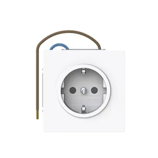 Busch-Jaeger SCHUKO-Steckdose 20 EUCBLI-44G Safety+