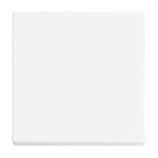 Busch-Jaeger Wippe 6735 BT-884 1-f.f.Bed.El. Smart Switch