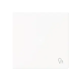 Busch-Jaeger Wippe 6234-10-44M 1-f.m.Symbol Dimmer