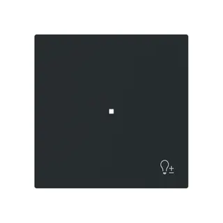 Busch-Jaeger Wippe 6234-10-45M 1-f.m.Symbol Dimmer