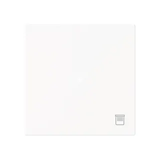 Busch-Jaeger Wippe 6232-10-44M 1-f.m.Symbol Jalousie