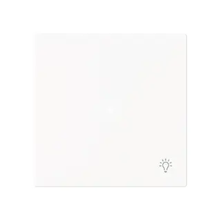 Busch-Jaeger Wippe 6231-10-44M 1-f.m.Symbol Licht