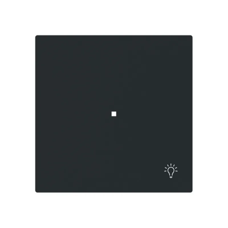 Busch-Jaeger Wippe 6231-10-45M 1-f.m.Symbol Licht