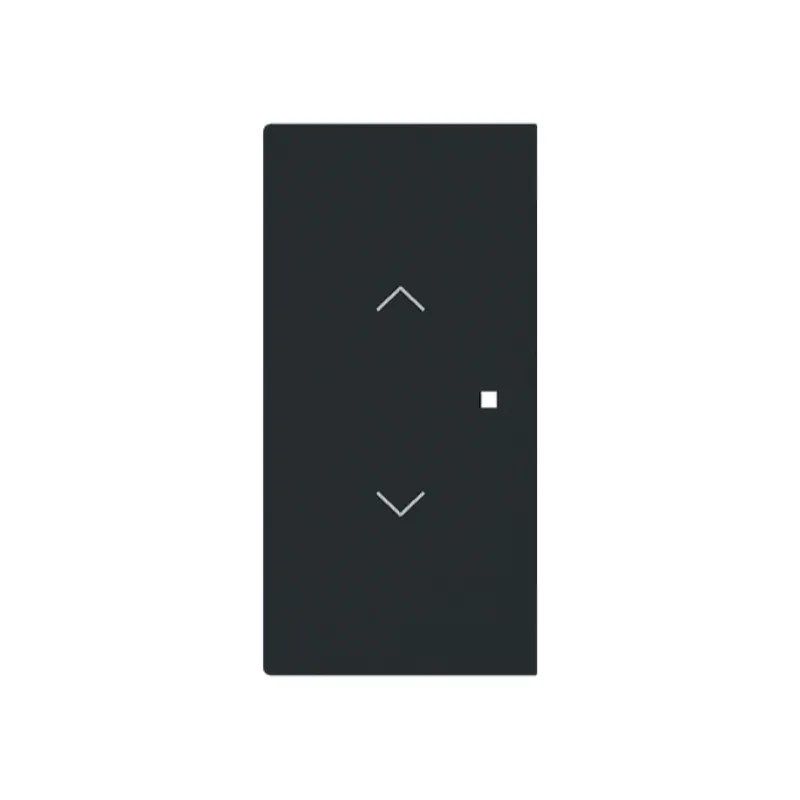Busch-Jaeger Wippe 6232-20-45M 2-f.m.Symbol Jalousie