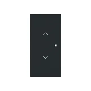 Busch-Jaeger Wippe 6232-20-45M 2-f.m.Symbol Jalousie