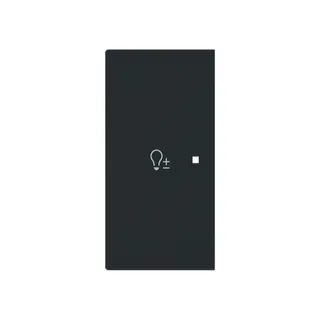 Busch-Jaeger Wippe 6234-21-45M 2-f.links m.Symbol Dimmer