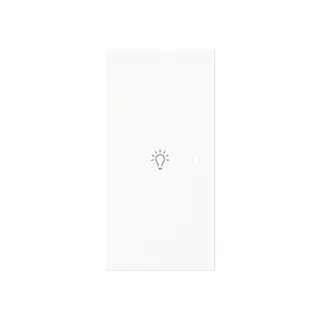 Busch-Jaeger Wippe 6231-21-44G 2-f.links m.Symbol Licht