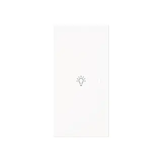 Busch-Jaeger Wippe 6231-21-44M 2-f.links m.Symbol Licht