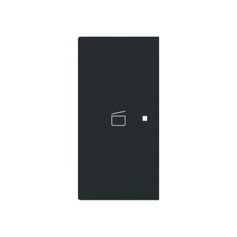 Busch-Jaeger Wippe 6233-21-45M 2-f.links m.Symbol Szene