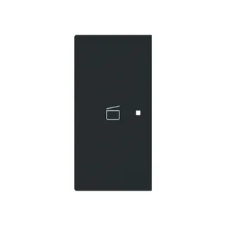 Busch-Jaeger Wippe 6233-21-45M 2-f.links m.Symbol Szene