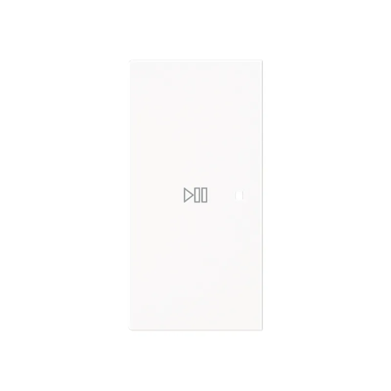 Busch-Jaeger Wippe 6237-21-44M 2-f.links Symbol Play/Pause
