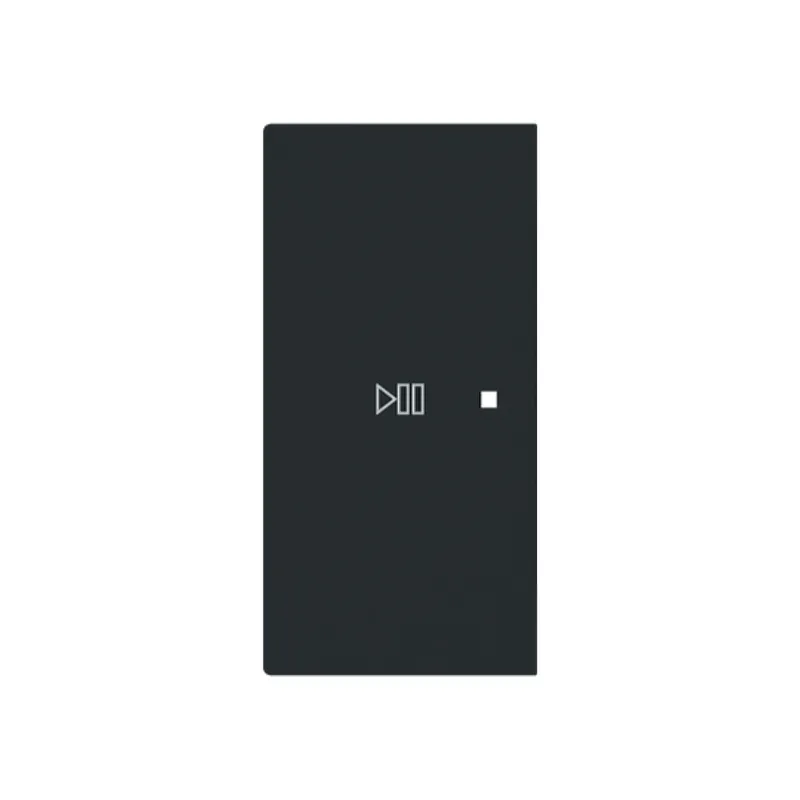 Busch-Jaeger Wippe 6237-21-45M 2-f.links Symbol Play/Pause