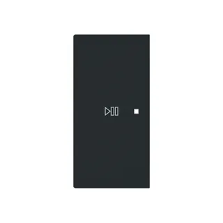 Busch-Jaeger Wippe 6237-21-45M 2-f.links Symbol Play/Pause