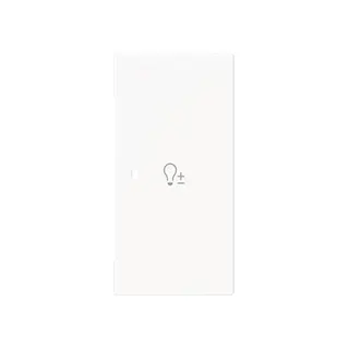 Busch-Jaeger Wippe 6234-22-44M 2-f.rechts m.Symbol Dimmer