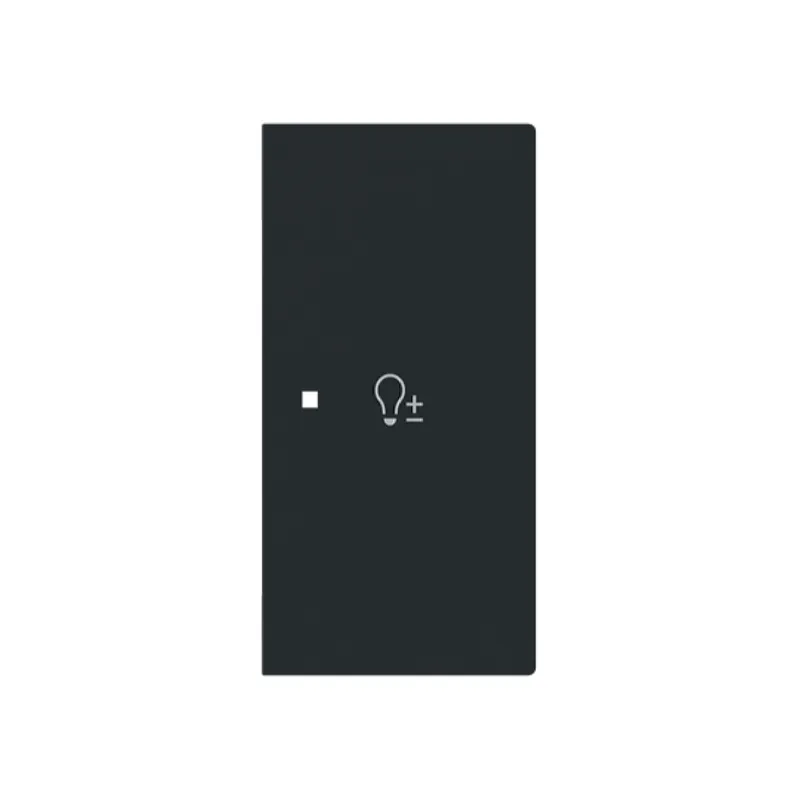 Busch-Jaeger Wippe 6234-22-45M 2-f.rechts m.Symbol Dimmer