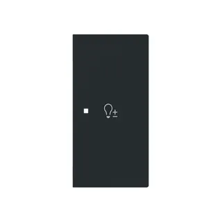 Busch-Jaeger Wippe 6234-22-45M 2-f.rechts m.Symbol Dimmer