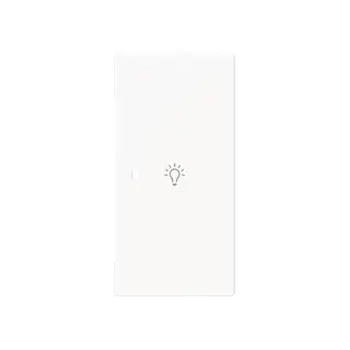 Busch-Jaeger Wippe 6231-22-44M 2-f.rechts m.Symbol Licht