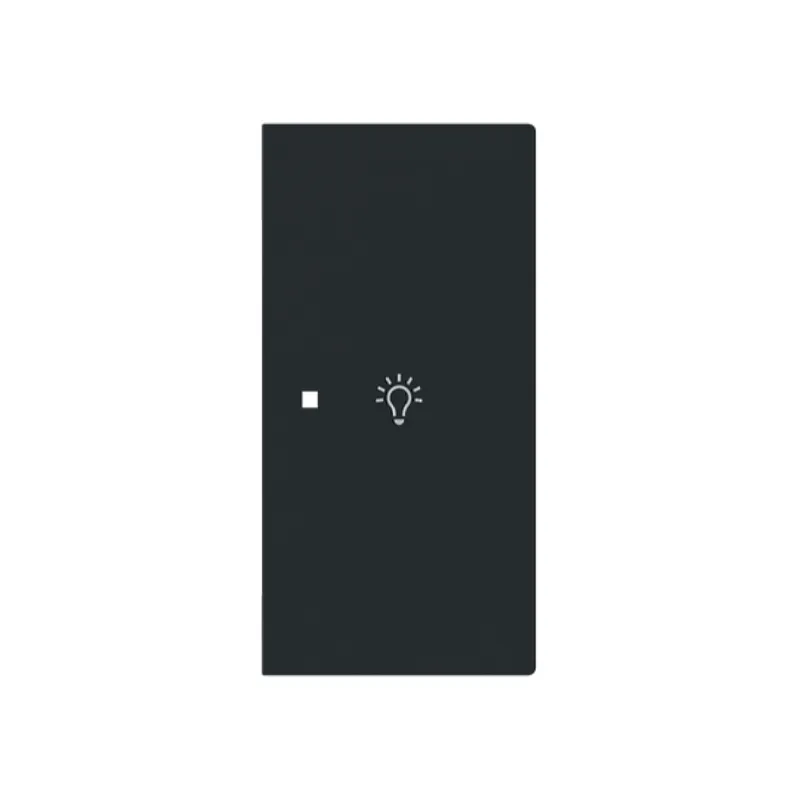Busch-Jaeger Wippe 6231-22-45M 2-f.rechts m.Symbol Licht