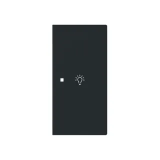 Busch-Jaeger Wippe 6231-22-45M 2-f.rechts m.Symbol Licht
