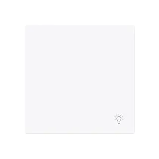 Busch-Jaeger Wippe 2520 LI-44G geschlossen m.Symbol Licht