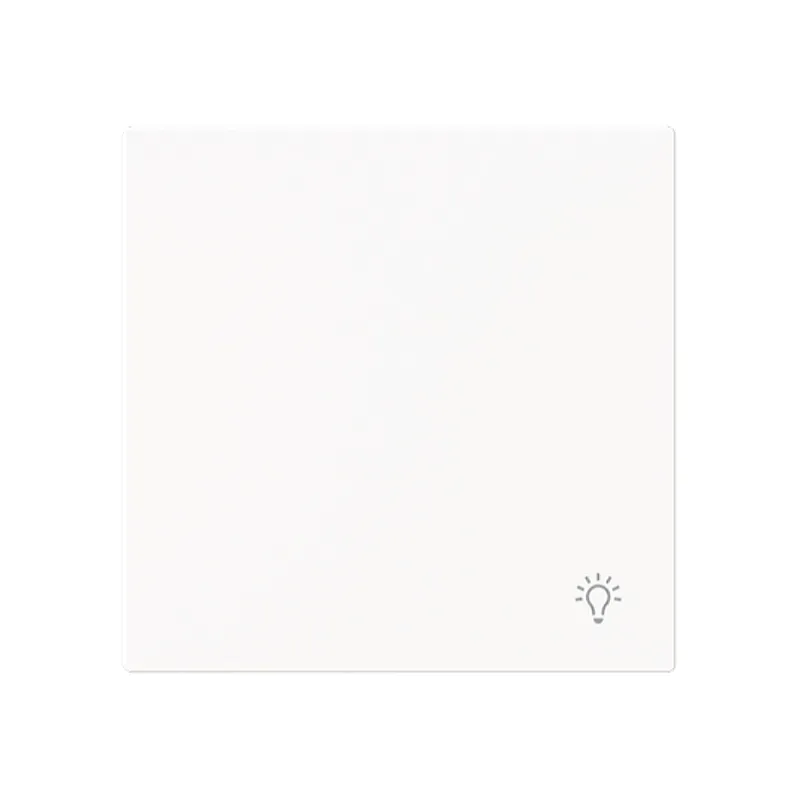 Busch-Jaeger Wippe 2520 LI-44M geschlossen m.Symbol Licht
