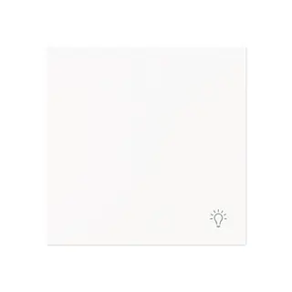 Busch-Jaeger Wippe 2520 LI-44M geschlossen m.Symbol Licht