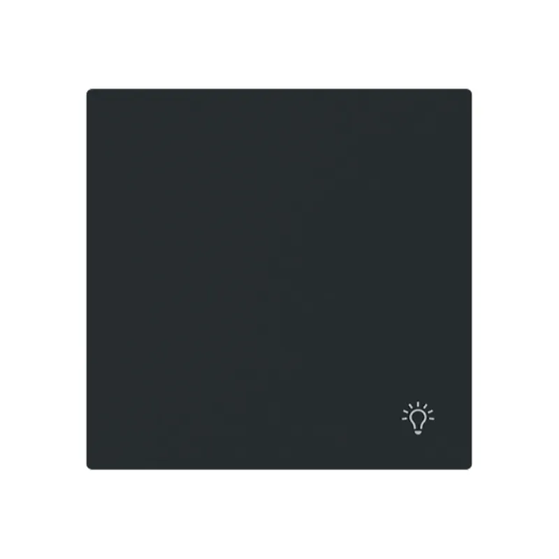 Busch-Jaeger Wippe 2520 LI-45M geschlossen m.Symbol Licht