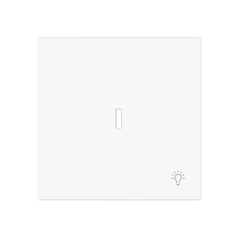 Busch-Jaeger Wippe 1789 LI-44G m.Symbol Licht m.transp.K