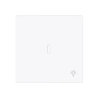 Busch-Jaeger Wippe 1789 LI-44G m.Symbol Licht m.transp.K