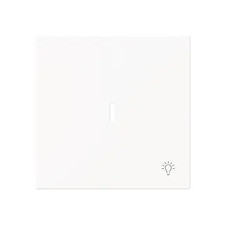 Busch-Jaeger Wippe 1789 LI-44M m.Symbol Licht m.transp.K
