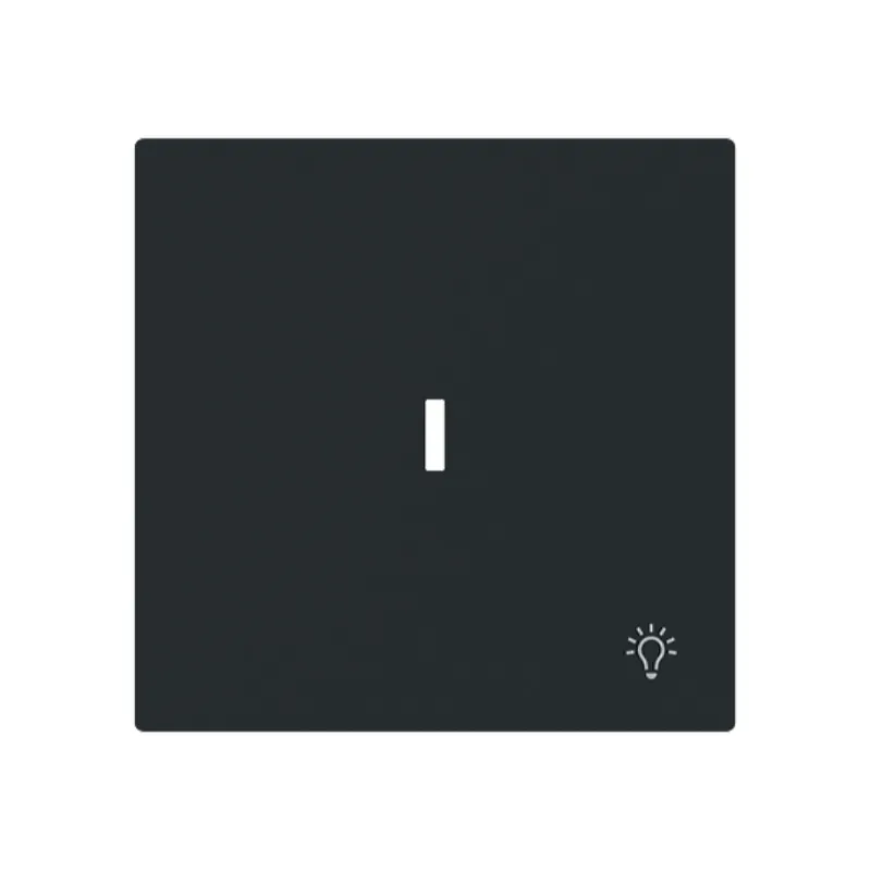 Busch-Jaeger Wippe 1789 LI-45M m.Symbol Licht m.transp.K
