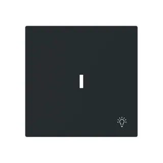 Busch-Jaeger Wippe 1789 LI-45M m.Symbol Licht m.transp.K