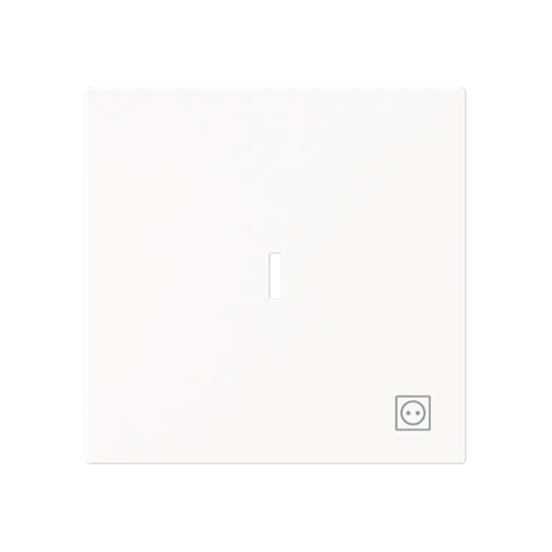Busch-Jaeger Wippe 1789 ST-44M m.Symb.Stecker m.transp.K.