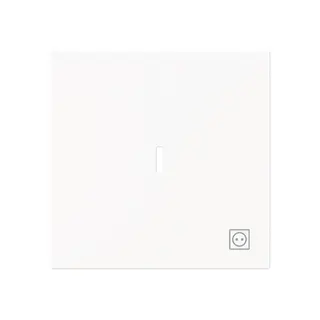 Busch-Jaeger Wippe 1789 ST-44M m.Symb.Stecker m.transp.K.