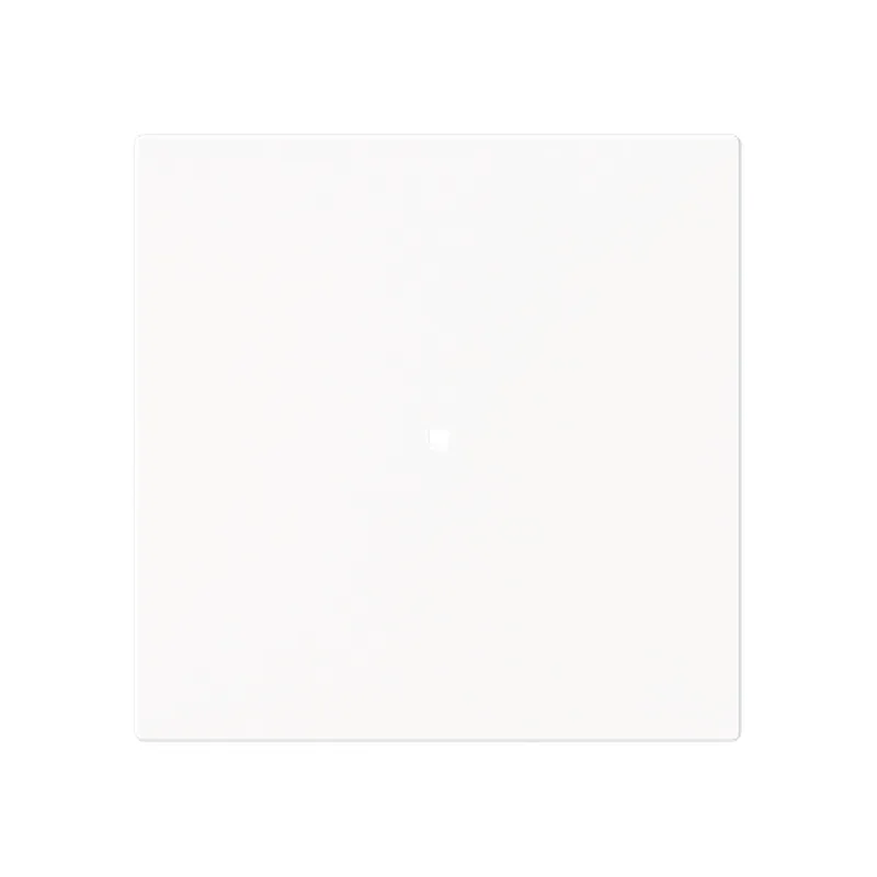 Busch-Jaeger Wippe 6230-10-44M 1-f.neutral o.Bedruckung