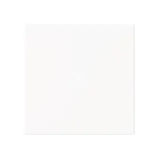 Busch-Jaeger Wippe 6230-10-44M 1-f.neutral o.Bedruckung