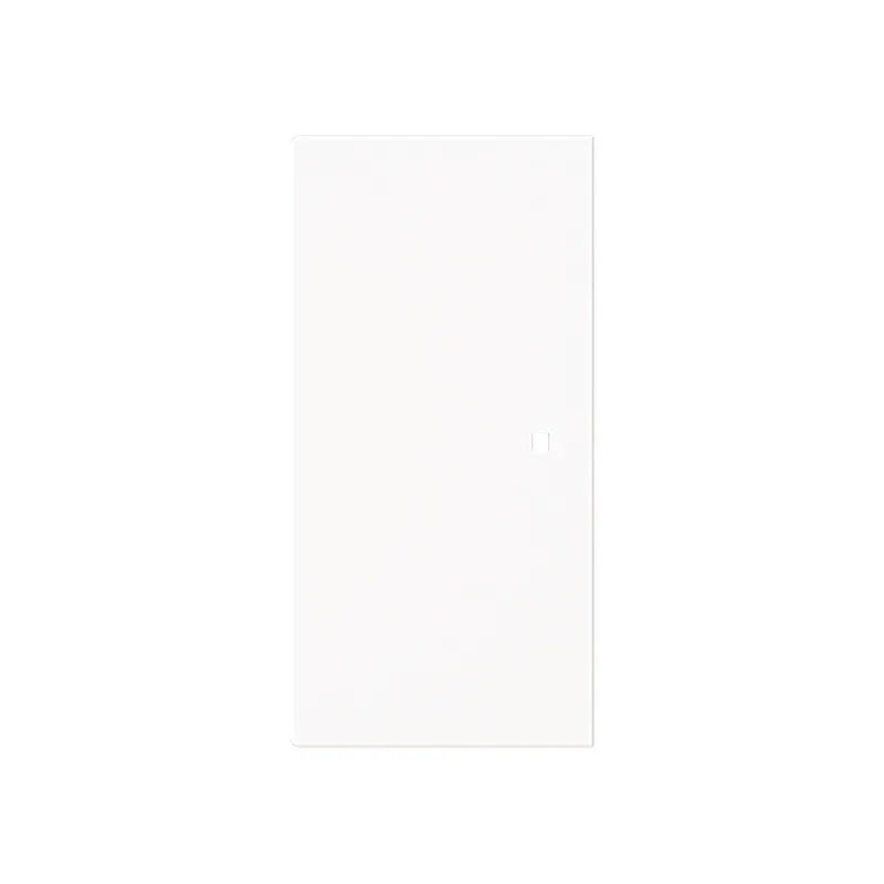 Busch-Jaeger Wippe 6230-20-44M 2-f.neutral o.Bedruckung