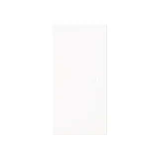 Busch-Jaeger Wippe 6230-20-44M 2-f.neutral o.Bedruckung