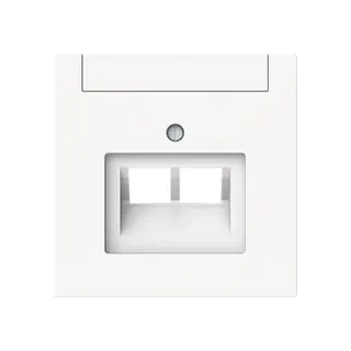 Busch-Jaeger Zentralscheibe 1803-02-44M 2-f. UAE m. Beschriftungsfeld