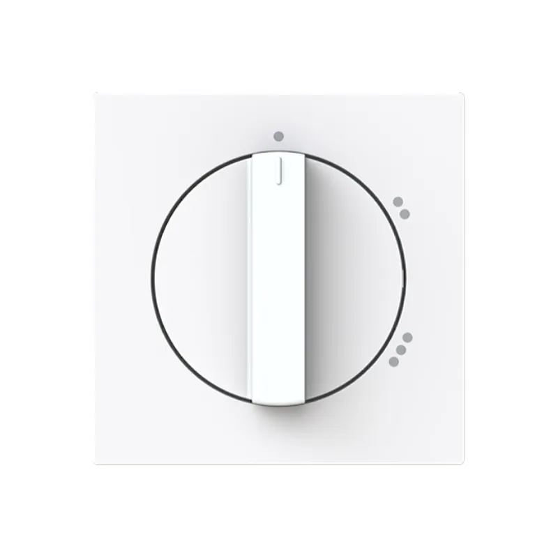 Busch-Jaeger Zentralscheibe 2542 DR/02-44G m. Drehgriff m. Aufdruck
