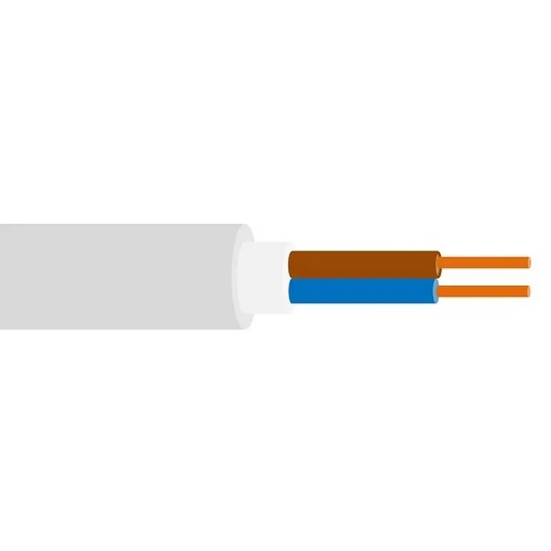 NEUT Mantelleitung Eca NYM-O 2x1,5 RG100m grau