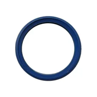 SIEGER Ersatzteil Lippendichtung DN80 (blau)