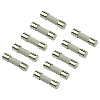 JU/SIEGER Ersatzteil TTNR: 87185706640 Sicherungseinsatz 230V/10A 5x20mm (10x)